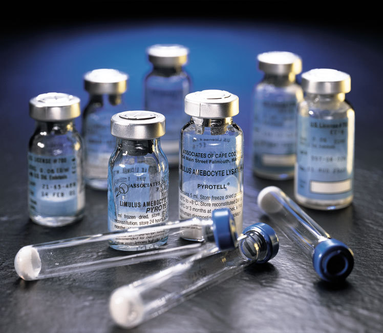 A diagram shows the brand development process.